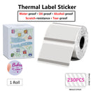 Etiquetas Térmicas Transparentes Phomemo M110 - 40x30mm Coloridas para Impressora M110/M220/M221/M120/M200