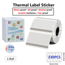 Etiquetas Térmicas Transparentes Phomemo M110 - 40x30mm Coloridas para Impressora M110/M220/M221/M120/M200