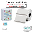 Etiquetas Térmicas Transparentes Phomemo M110 - 40x30mm Coloridas para Impressora M110/M220/M221/M120/M200