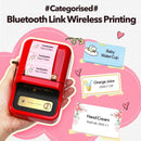 Rolo de Etiquetas Térmicas Adesivas Niimbot 2 Polegadas - Papel Colorido Impermeável para Impressora B1 B21