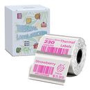 Etiquetas Térmicas Transparentes Phomemo M110 - 40x30mm Coloridas para Impressora M110/M220/M221/M120/M200