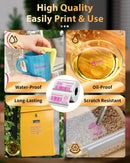 Etiquetas Térmicas Transparentes Phomemo M110 - 40x30mm Coloridas para Impressora M110/M220/M221/M120/M200